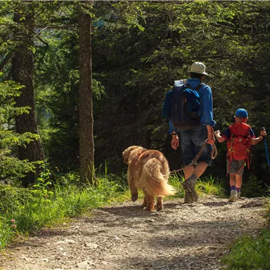 A man and a child are walking with a dog on a forest path. Surrounded by trees and green nature, they are enjoying a beautiful day outdoors.