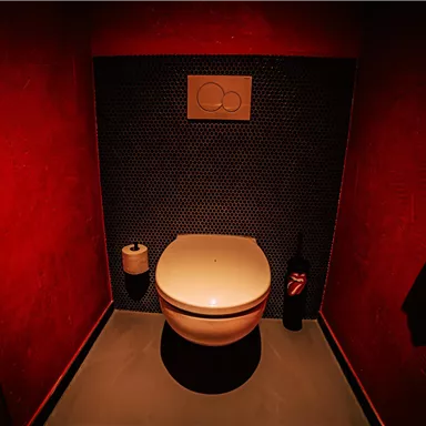 A stylish restroom with red wall decorations and a modern toilet. The wall features functional elements and toilet paper holders.
