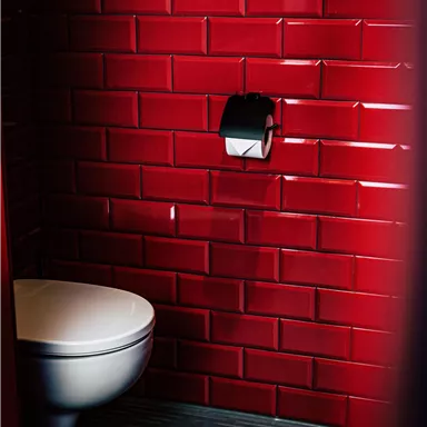 A modern bathroom with red tiles and a white toilet. A toilet paper holder is also visible.