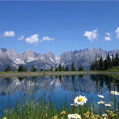 Eine malerische Landschaft mit einem klaren See und majestätischen Bergen im Hintergrund. Bunte Blumen blühen am Ufer und spiegeln sich sanft im Wasser.