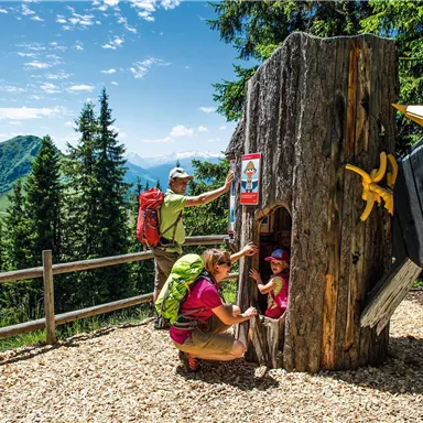 A wooden sculpture in the shape of a tree with a colorful bird and an entrance for playing. Two hikers, an adult and a child, are happily interacting with the sculpture in the woods.