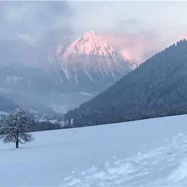 A snowy landscape with an enveloping mountain range in the background. Gentle hills and a single tree are visible in the foreground.