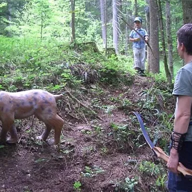 A realistic animal model of a lynx in the forest. Two people are standing nearby, one with a bow, the other observing.