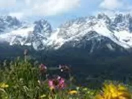 A blooming meadow with colorful flowers in the foreground. In the background, snow-covered mountains rise under a clear sky.