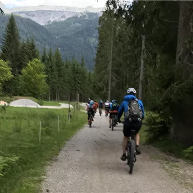 A group of cyclists is riding on a narrow path through a wooded area. In the background, high mountains can be seen.