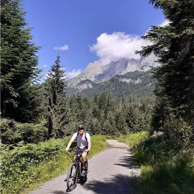 A cyclist rides on a narrow path through a forest. In the background, tall mountains can be seen under a blue sky.