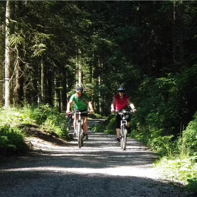 Two cyclists are riding on a gravel path through a forest. The sun is shining and the surroundings are green and idyllic.