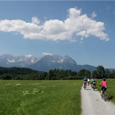 A group of cyclists rides on a gravel path through a green landscape. In the background, majestic mountains and a clear sky can be seen.