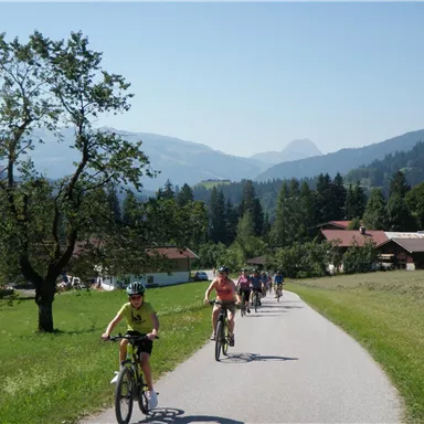 A group of cyclists is riding on a narrow path through a picturesque landscape. In the background, mountains and forests can be seen, and the sky is clear and blue.