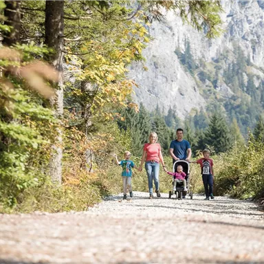 A family is walking on a picturesque path surrounded by trees and mountains. The children are happily running alongside the adults while a stroller is being pushed.