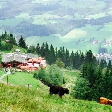 A picturesque landscape with gentle hills and dense forests. In the foreground, cows are grazing, and in the background, you can see a cozy cottage.