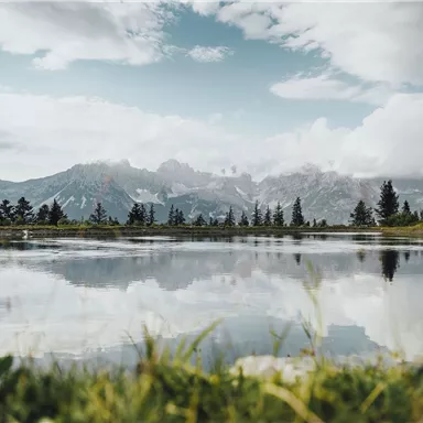 A quiet lake surrounded by green meadows and trees. In the background, majestic mountains and a cloudy sky can be seen.