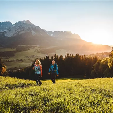 Two hikers are walking through a green meadow with mountains in the background. The sun is shining and the sky is clear.