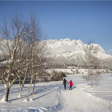 A snow-covered path leads through a wintry landscape. In the background, there are tall mountains and a bright blue sky visible.