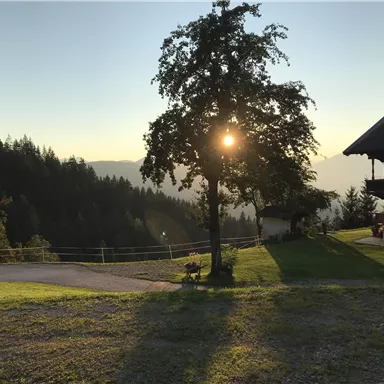 A picturesque outdoor scene in the mountains with a tree and a sunset in the background. In the foreground, a meadow and a wooden cabin are visible.