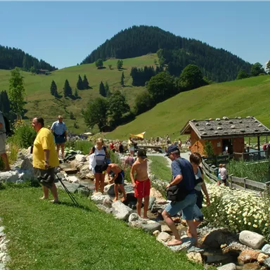 A group of people is enjoying a sunny day by a clear stream. The green landscape and hills in the background create an idyllic atmosphere.