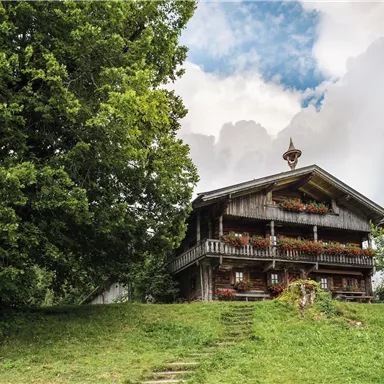 A traditional wooden cottage on a green meadow, surrounded by trees. The sky is overcast, giving a calm and rural impression.