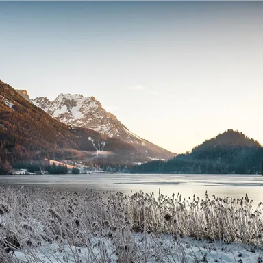 A winter lake surrounded by snow-covered mountains. The landscape is characterized by frosty plants and soft lighting conditions.