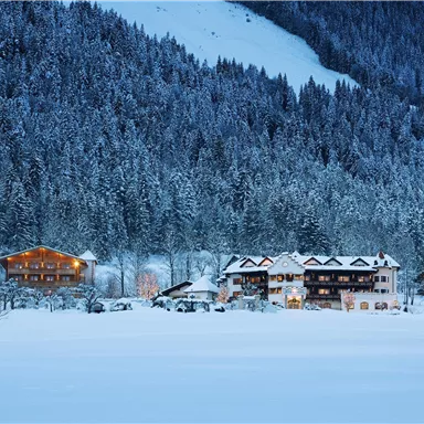 A picturesque winter landscape with snow-covered trees and friendly cottages. The lights of the houses shine in the twilight, creating a cozy atmosphere.
