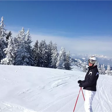A snow-covered landscape with many pine trees and a clear sky. A skier stands on the slope and looks into the distance.