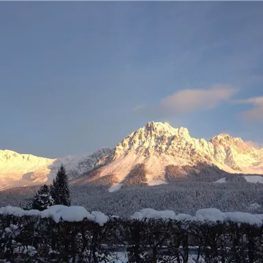 Beautiful snow-covered mountains under a clear sky. The sun illuminates the peaks of the mountains in soft colors.