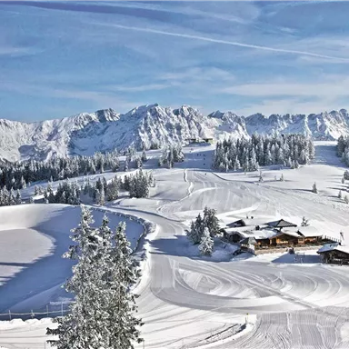 A winter landscape with snow-covered mountains and a small house. The sky is clear and blue.