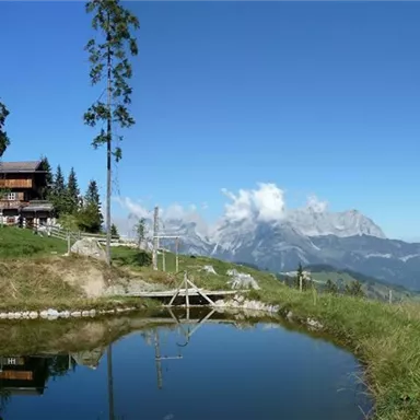 A tranquil mountain lake surrounded by meadows and trees. In the background, majestic mountains and a clear blue sky can be seen.