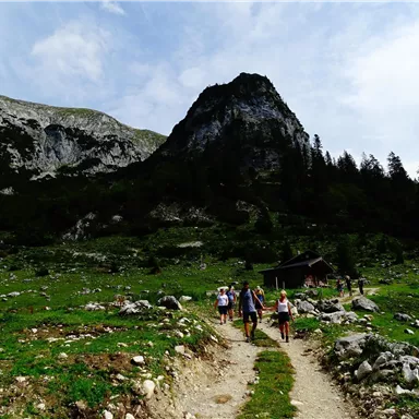 Wandering people on a path in a green mountain landscape. In the background, there are tall mountains and a wooden cabin.