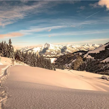 A picturesque winter landscape with snow-covered mountains and pine trees. The sky is clear and radiant blue.