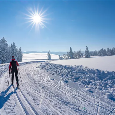 A person is cross-country skiing in a snow-covered landscape. The sky is clear and the sun is shining brightly.