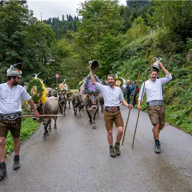 A group of people in traditional costume accompanies a herd of animals along a country road. Surrounded by green trees and mountains, they celebrate a lively tradition.