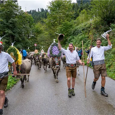 A group of men in traditional clothing is leading a herd of cows along the path. They are wearing hats and holding various items in their hands.