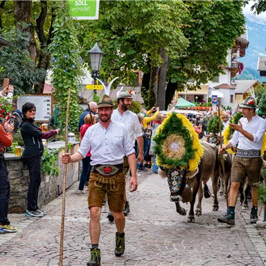 A traditional parade with people in traditional costumes and decorated cows. The street is full of spectators and festive decorations.
