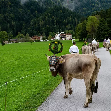 A cow with a crown is walking along a path through a green meadow. In the background, people and typical alpine landscapes can be seen.