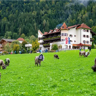 A picturesque alpine area with a large meadow and cows grazing. In the background stands a traditional building with balconies and colorful flowers.