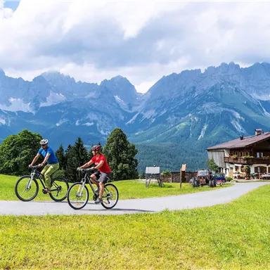 Two cyclists are riding on a path through a green landscape. In the background, majestic mountains and a traditional alpine house can be seen.