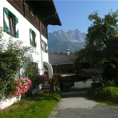 A charming house with colorful flowers and green windows. In the background, majestic mountains and a clear sky can be seen.