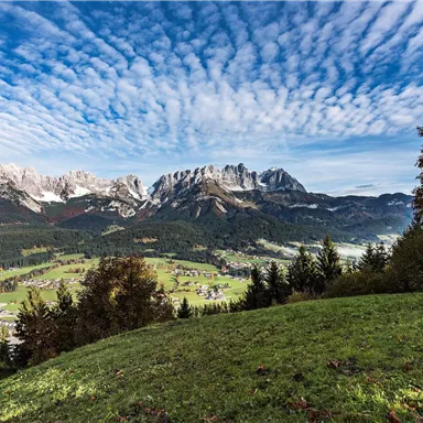 A picturesque landscape with mountains and a clear sky. In the foreground, there are green meadows and some trees.