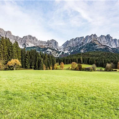 A green meadow with high mountains in the background. Trees in different colors surround the landscape.