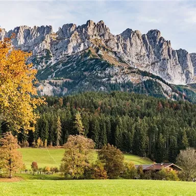 A picturesque landscape with majestic mountains and colorful autumn trees. In the foreground, there is a green meadow and a small house.