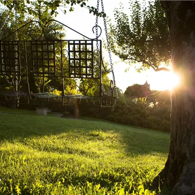 A swing in the garden, surrounded by green grass and trees. The sun shines through the leaves, creating a warm atmosphere.