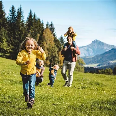 A joyful family enjoys a day outdoors. Children run and play on a green meadow with mountains in the background.