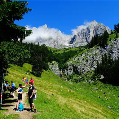 A sunny hiking trail in the mountains with green meadows and rocks. Hikers enjoy the view of the majestic peaks and the clear, blue sky.