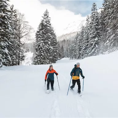 Two people are hiking through a snowy landscape. Tall, snow-covered trees surround the path.