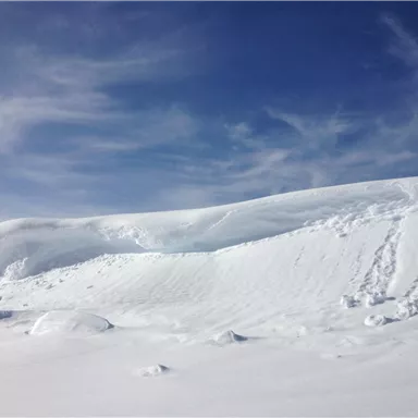 A snowy landscape with gentle hills and a clear blue sky. The snow glistens in the sunlight, creating a tranquil atmosphere.