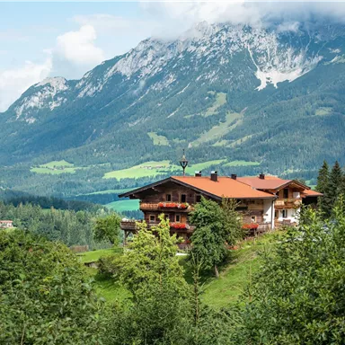 A picturesque house in the mountains with green meadows and wooded areas. In the background, majestic mountains and a blue sky can be seen.
