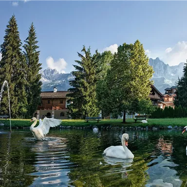 A picturesque lake with swans and lush greenery. In the background, trees and mountains can be seen.