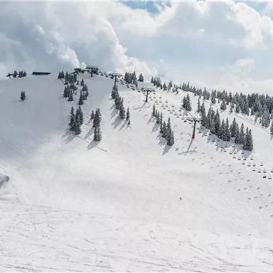 A beautiful snow-covered slope with trees and a ski lift system. The sky is cloudy, creating a wintry atmosphere.