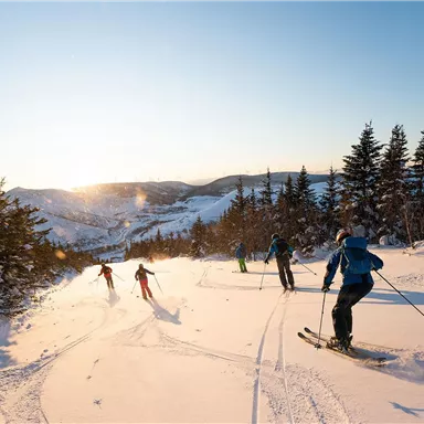 A winter sports landscape with several skiers on a snowy slope. In the background, the trees glow in the sunset.
