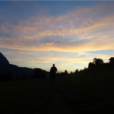 A hiker walks across a meadow with mountains in the background. The sky is tinted in soft colors at sunset.